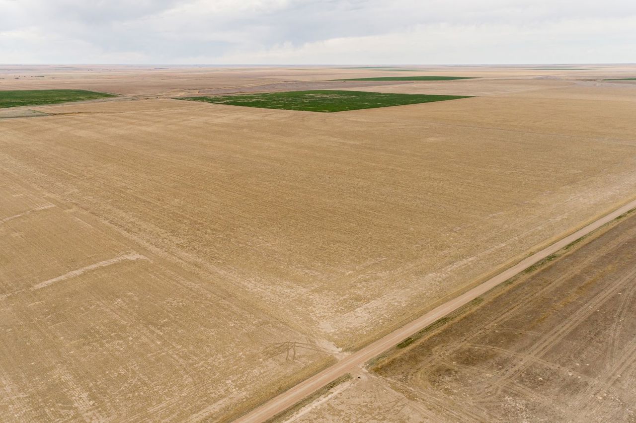 Steffes Group Logan County, KS Land Auction 160± Acres